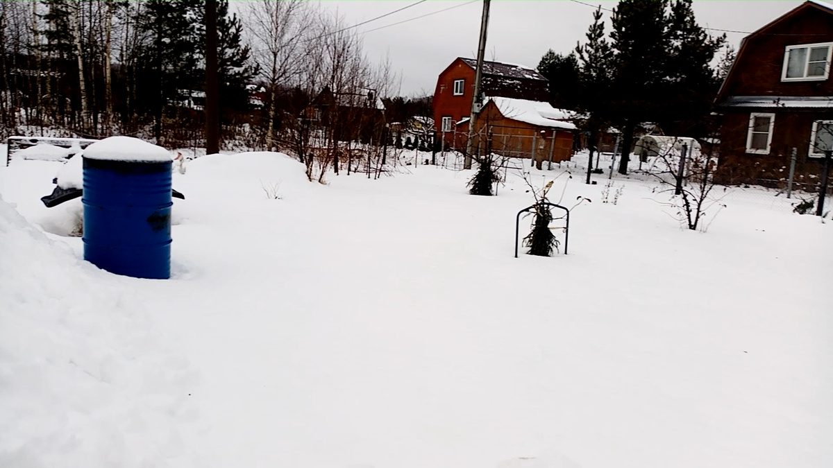 Грядки снегом присыпаны и рассчитываю на урожай