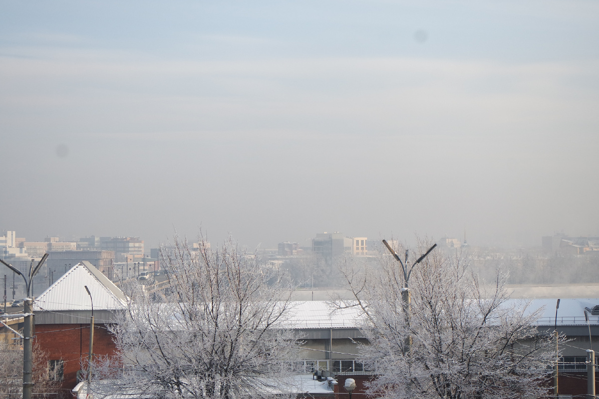 дерево загораживает мне мост, а я не догадалась поёрзать туда-сюда, чтобы что-то с этим сделать