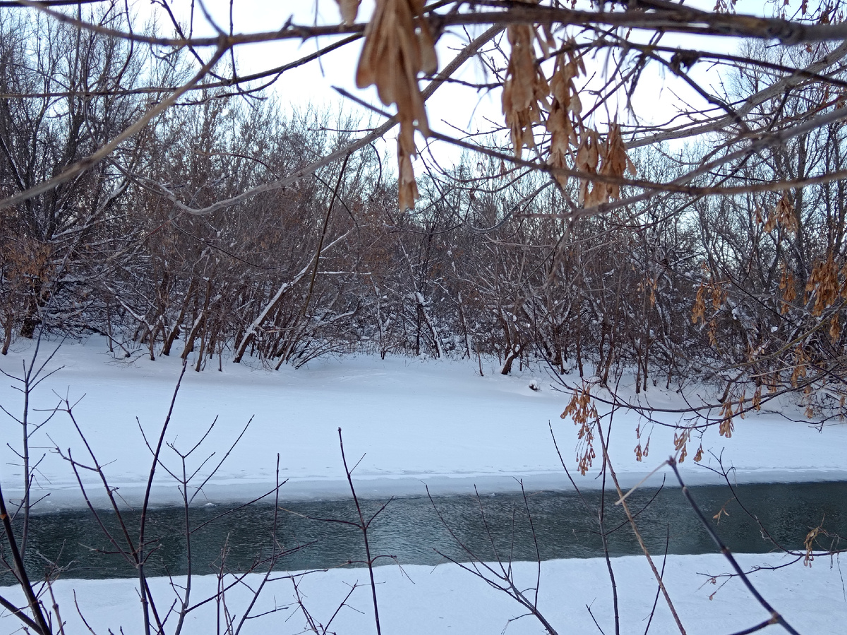 Это моё фото реки Большой Кинель 1-го января 2025-го года. Не очень замёрзла речка.