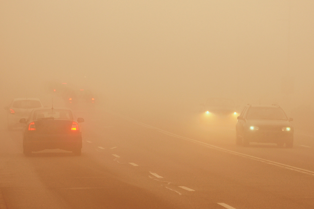    Фото: Montypeter / Shutterstock.com