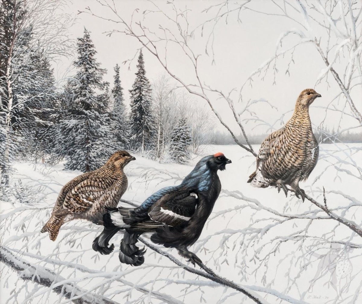 Им кажется, что они - живут! А они всего лишь мишени