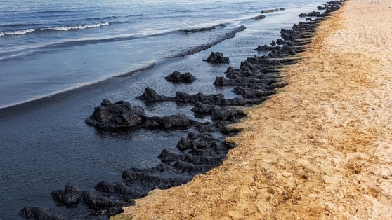    Спасатели и волонтеры вывезли почти 96 тыс. тонн загрязненного грунта с побережья Кубани Андрей Бурков