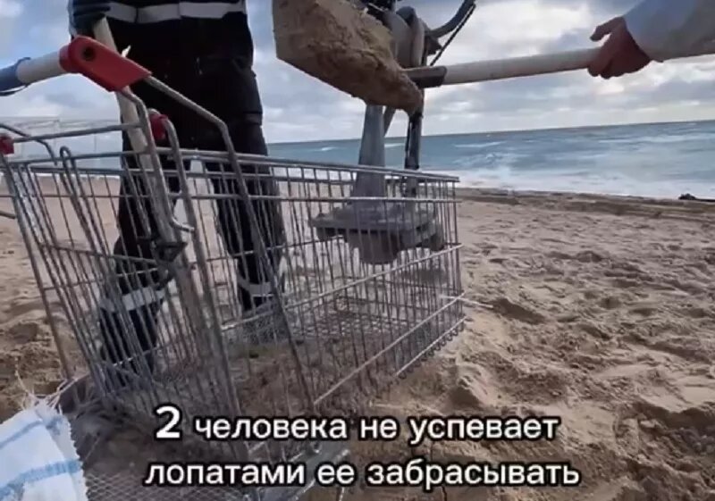 Тележка и сетка.