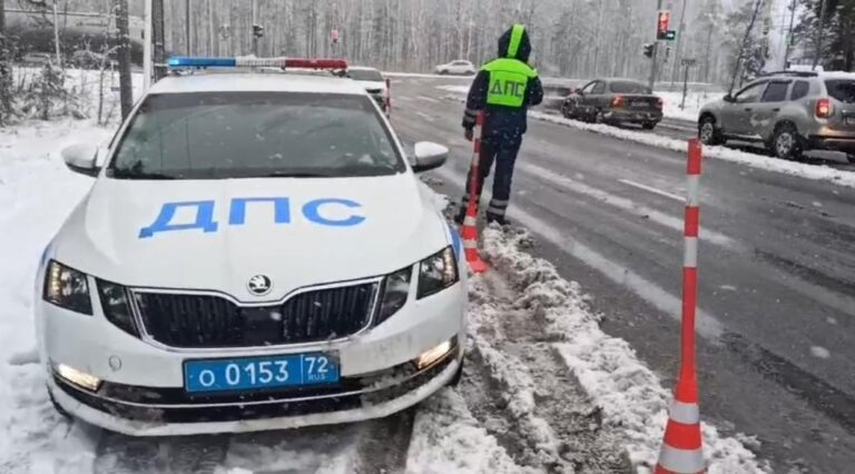    Фото: ГИБДД Тюменской области Илья Федоров