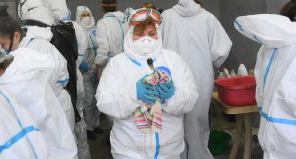    РИА «Новости»