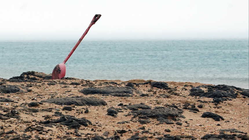    Фото: ИЗВЕСТИЯ/Павел Волков