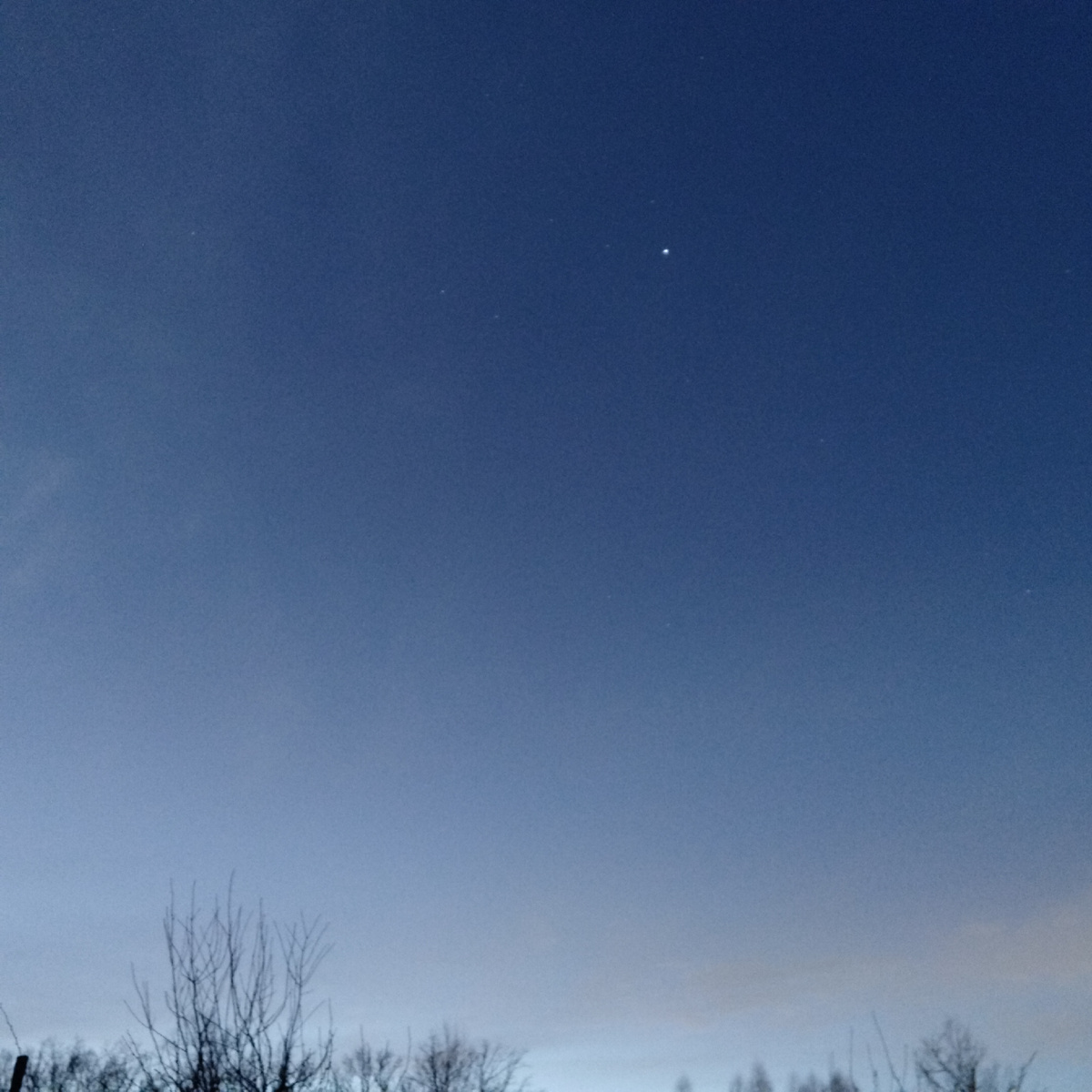 Вега в созвездии Лиры.