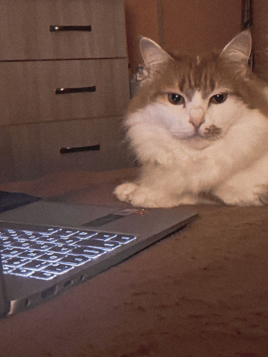 Лежит, статьи за меня в три часа ночи пишет.