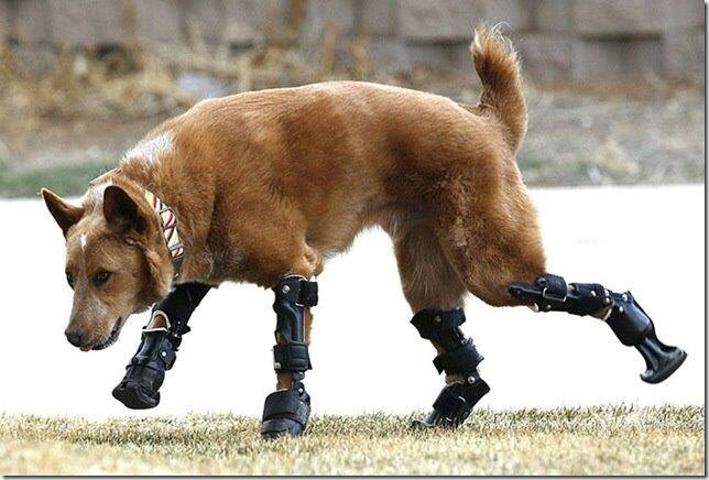 -2