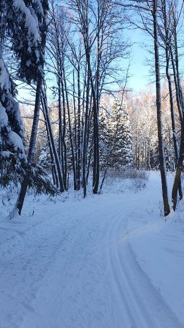 Зимний пейзаж. Автор- Татьяна Федотова. Москва, д. Богородское
