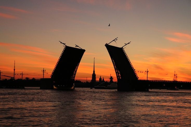 Санкт-Петербург - изумительное место, Город возможностей, Город искусств, Столица культуры. Каждый хоть раз хотел побывать в этом красочном городе. Из-за аппетитной кухни, из-за красивейшей архитектуры, развода мостов, белые ночи, в конце концов, кто бы не хотел посмотреть на медведя с балалайкой?