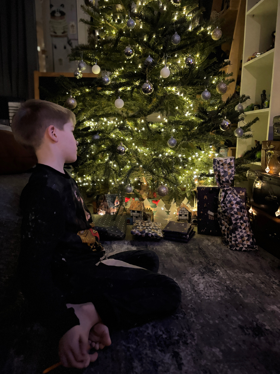 Фото автора. Вечер 31-го декабря. Петя чахнет у елочки, до открытия подарков ещё долго ))