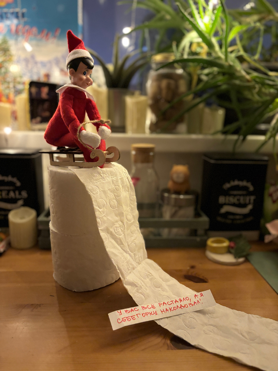 Фото автора. Эльф нас развлекал почти месяц 