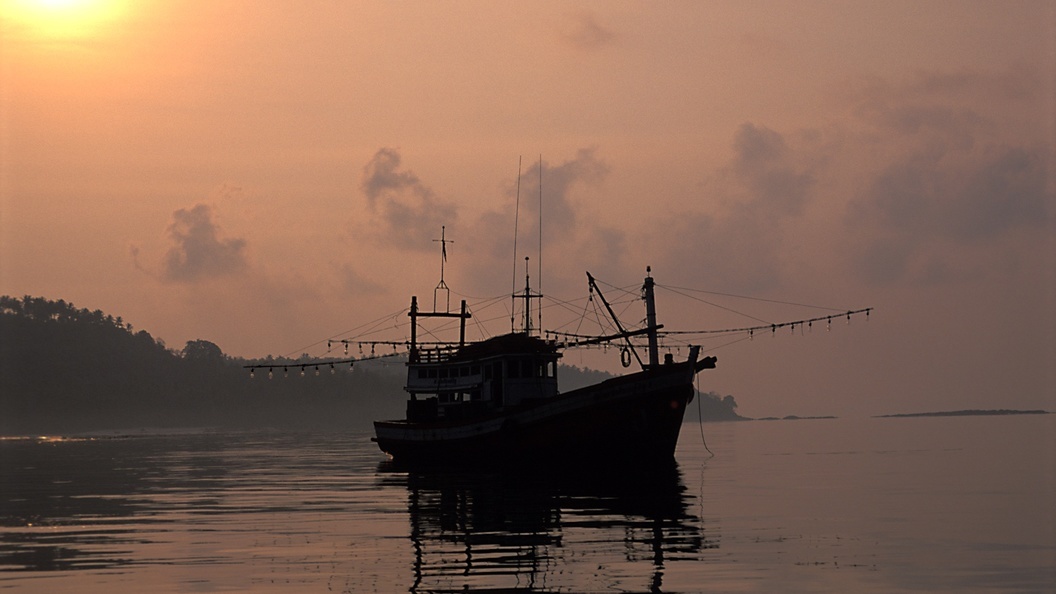    Serguei Fomine/Russian Look/Globallookpress
