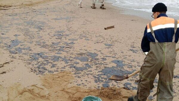    © Telegram Михаил Развожаев