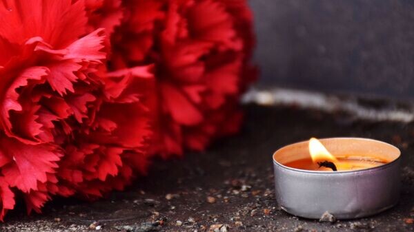    © Sputnik / Сергей Ким