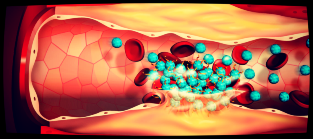 Алкоголь и вредная еда  повышает вязкость крови, поэтому всем нам в эти длинные праздники стоит придерживаться этих простых рекомендаций, тем более они такие вкусные.