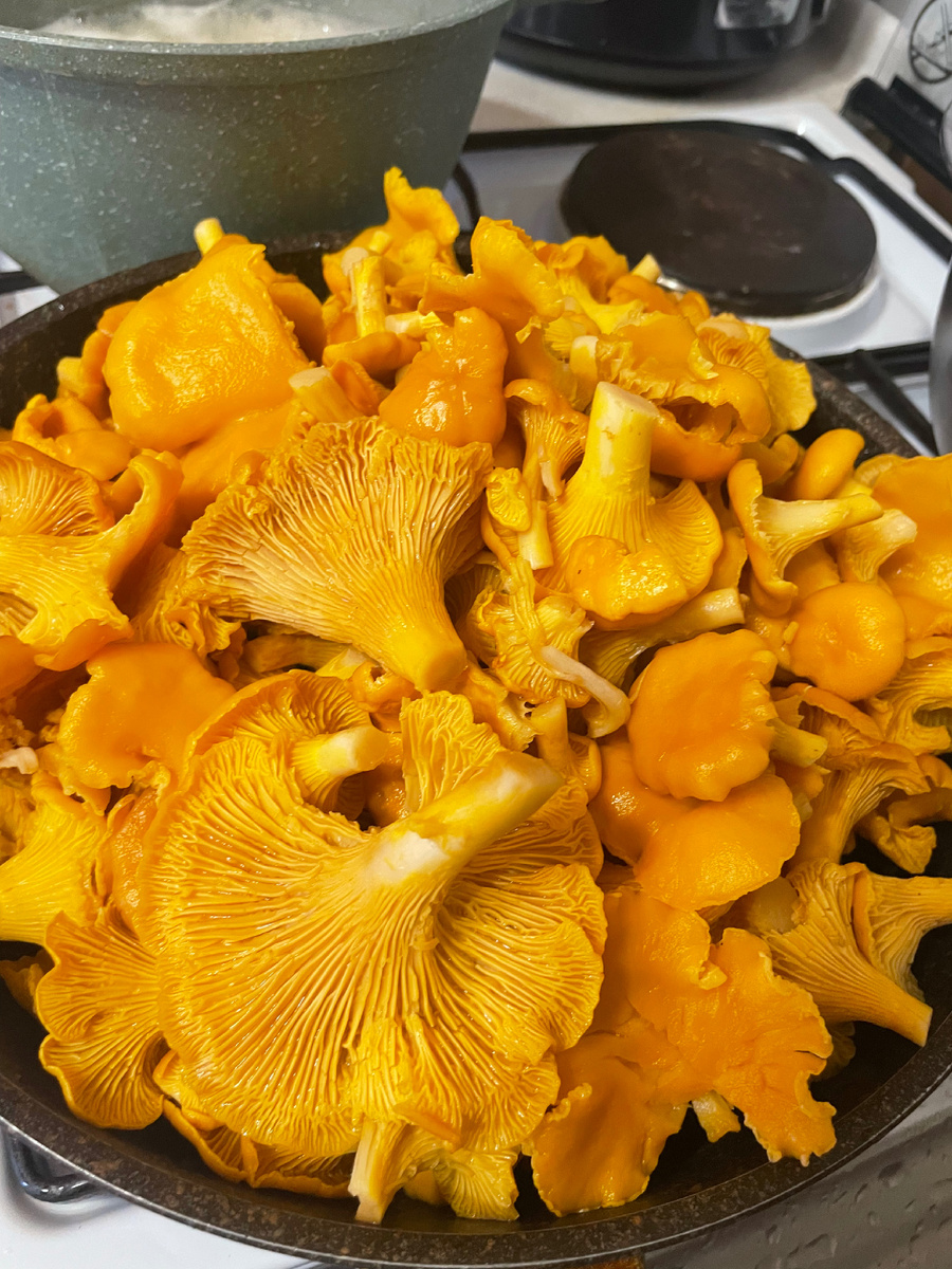 Уже готовы к жарке.