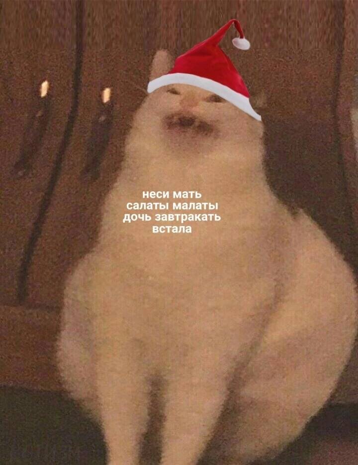 поставьте лайк, если вас тоже рассмешил этот мэм 