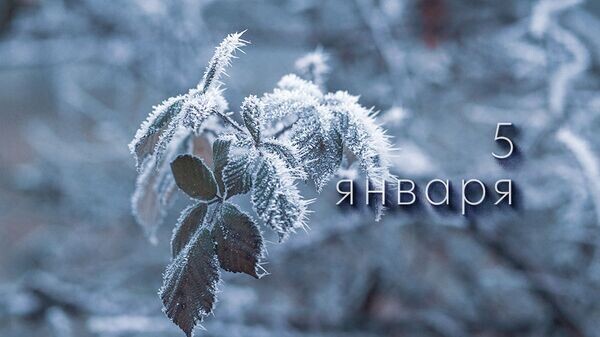    © Photo : Nadine Wuchenauer: Pexels