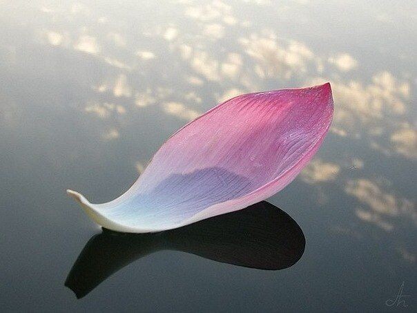 "Подними глаза в рождественское небо, Загадай все то, о чем мечтаешь ты"(с) Фото: ru.pinterest.com / simaolga