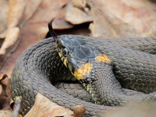 Фото: Мария Щекало