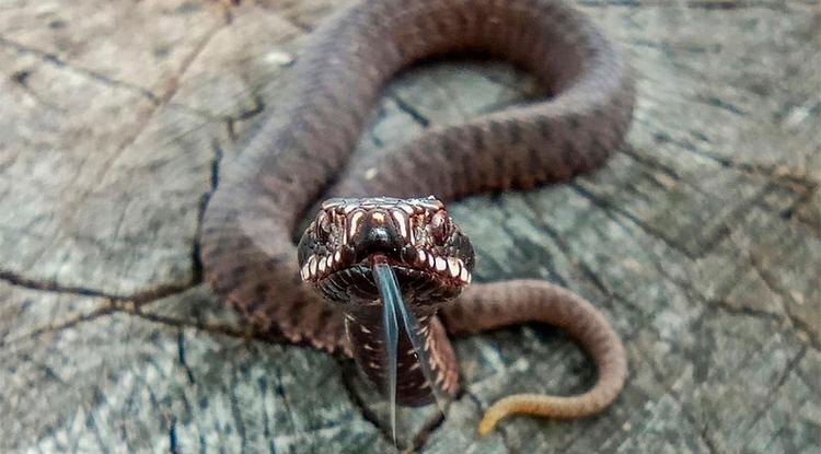 Фото: Анастасия Гладкова