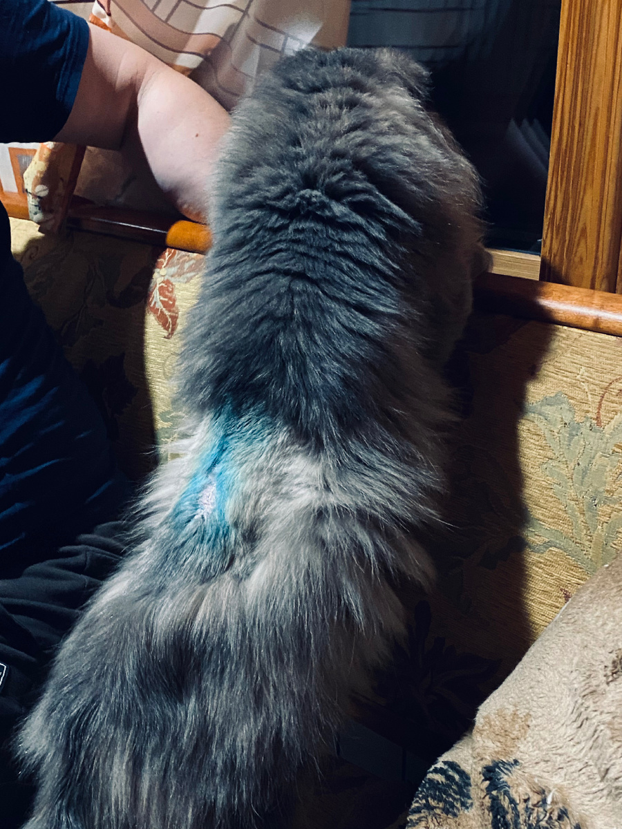 Ну, и кто там ко мне в гости пришел! Везде фото автора.