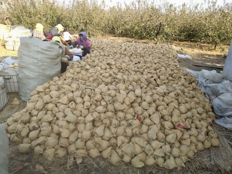 Обратите внимание на порванные  пакеты, это брак. 