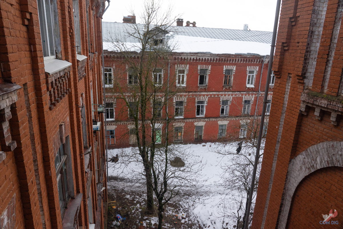 Вид из окна расселенного дома в Морозовском городке 