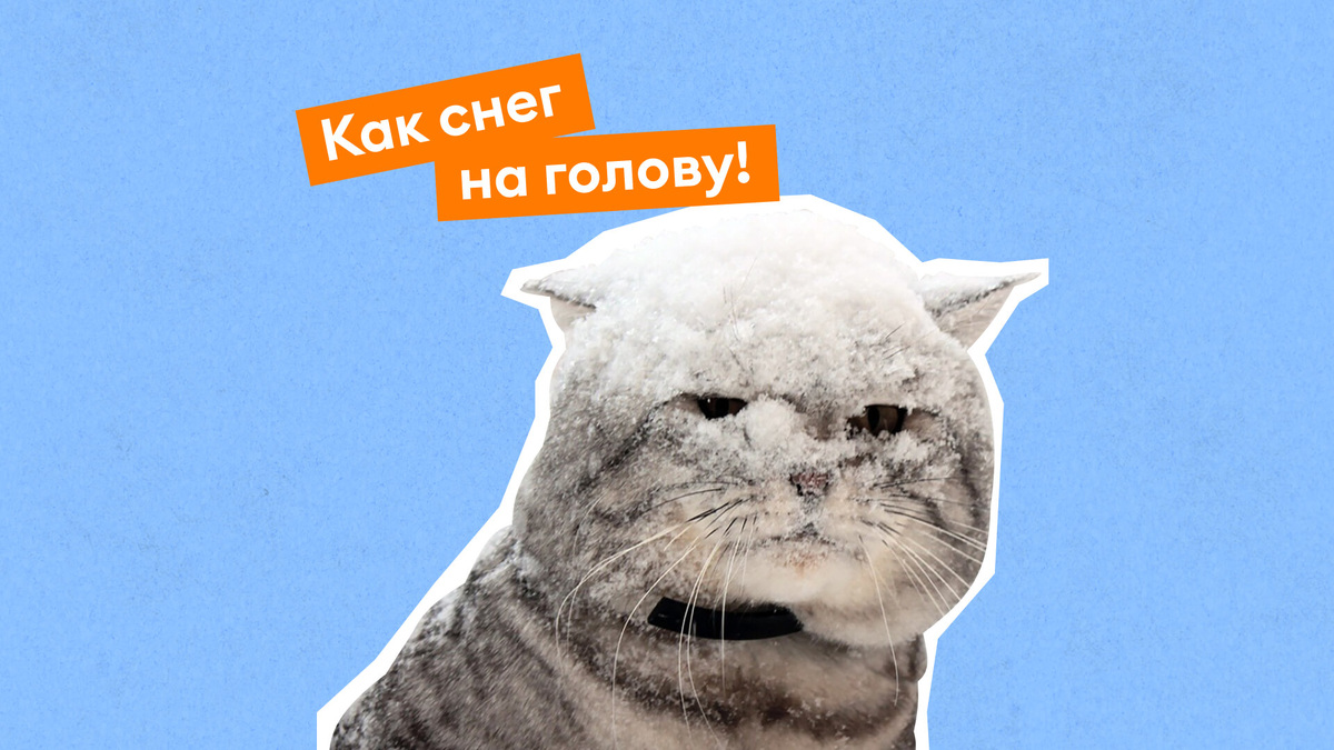    Коллаж: Добро.Медиа