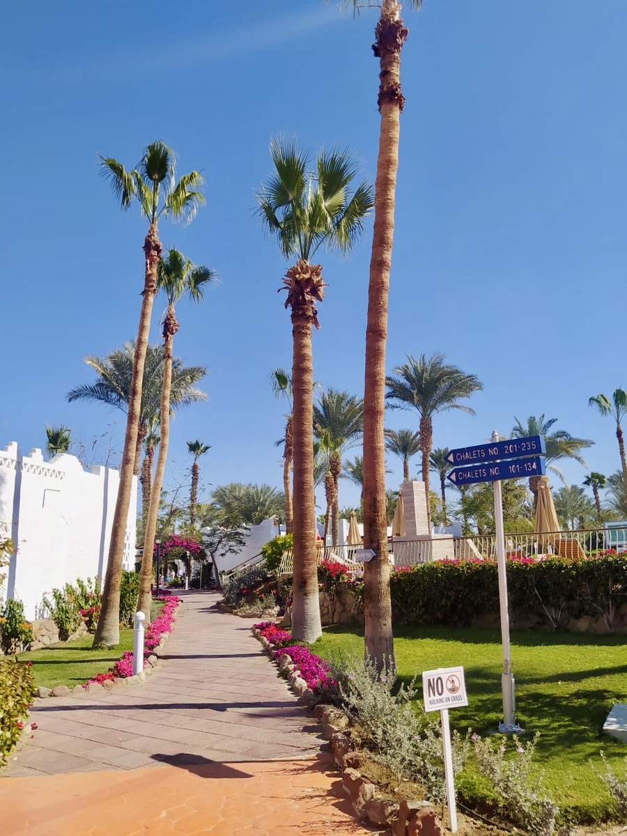 Территория отеля