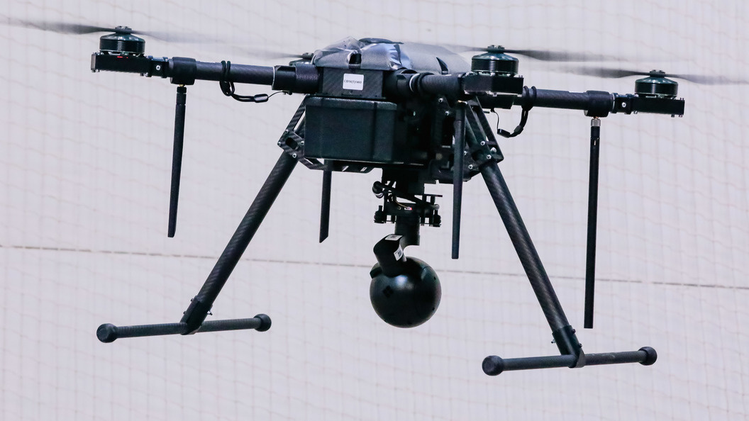    Фото: Shatokhina Natalia/news.ru/Globallookpress