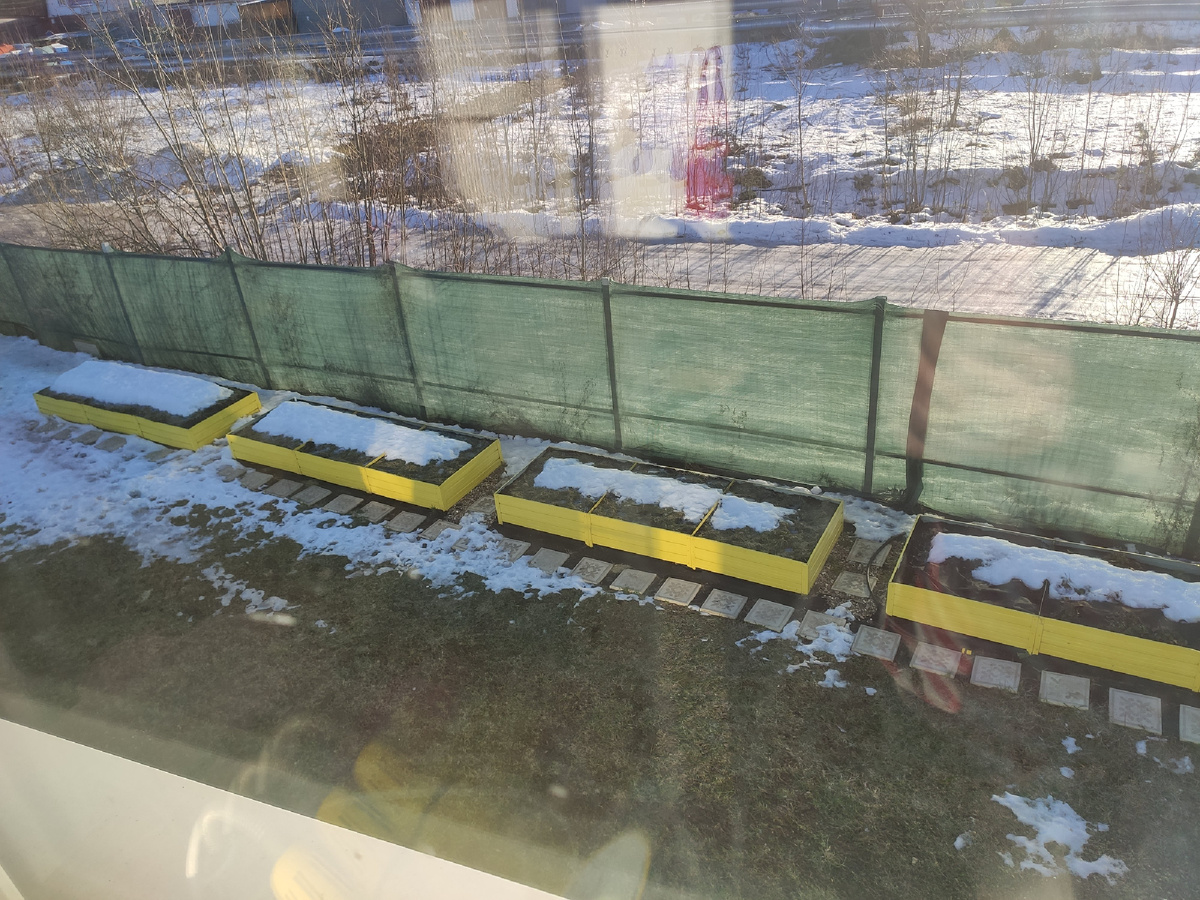 12 января 2025