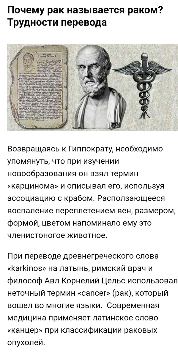 Карцинома — это злокачественное новообразование, развивающееся из клеток эпителиальной ткани, которая является основой кожи, слизистых оболочек и различных внутренних органов.