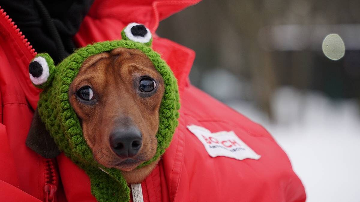    Фото: Анатолий Цымбалюк / Вечерняя Москва