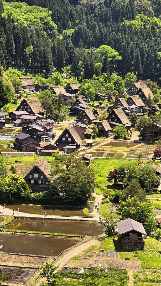 Вид со смотровой площадки