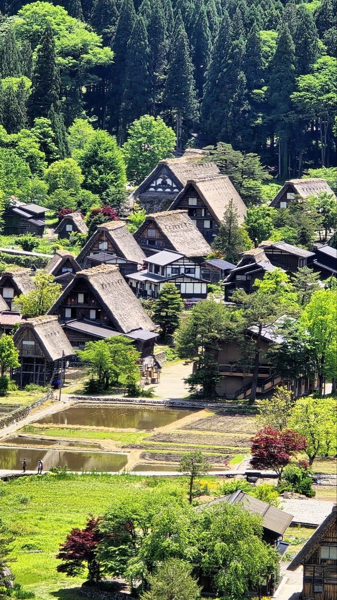 Вид со смотровой площадки