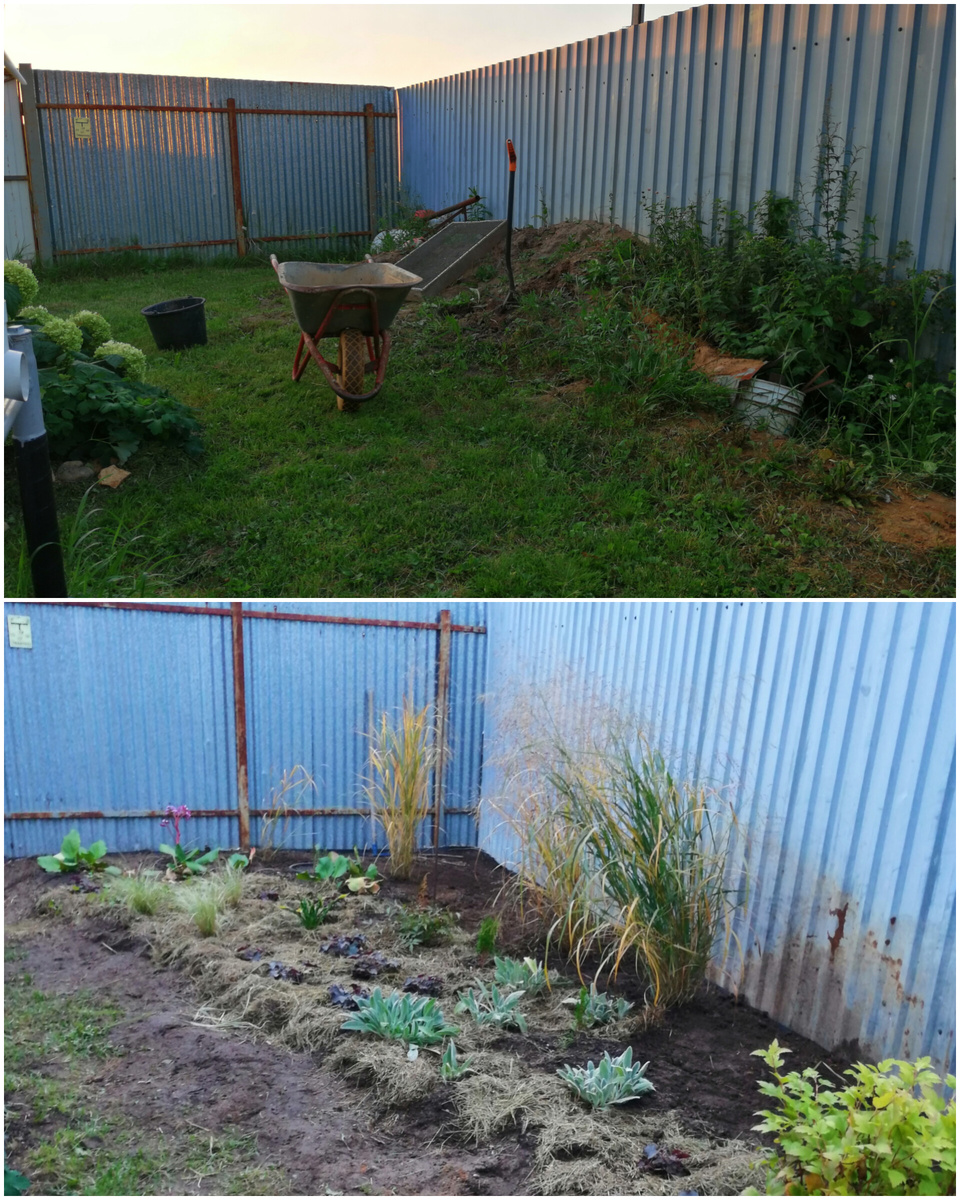 Полтора месяца по паре часов в день. С конца августа по середину октября. 