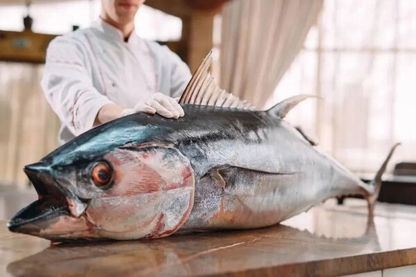 Shutterstock / FOTODOM / David Tadevosian