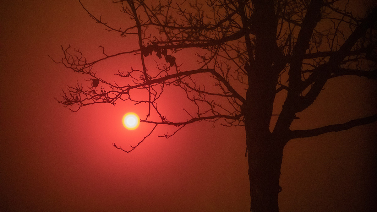    Фото: vm.ru Георгий