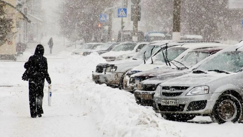     Снег Анна Зайкова, altapress.ru