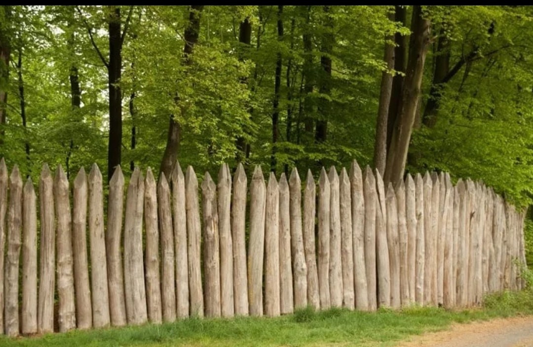 Частокол, из интернета.