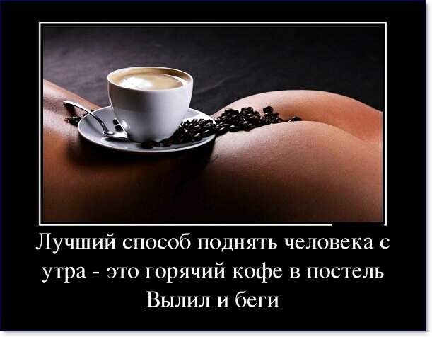 Яндекс Открытый источник 