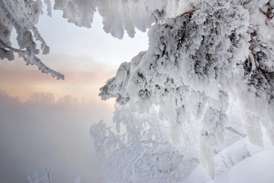 Фото автора. Окно в зиму.