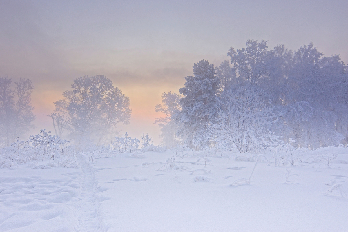 Фото автора. Зимний рассвет.