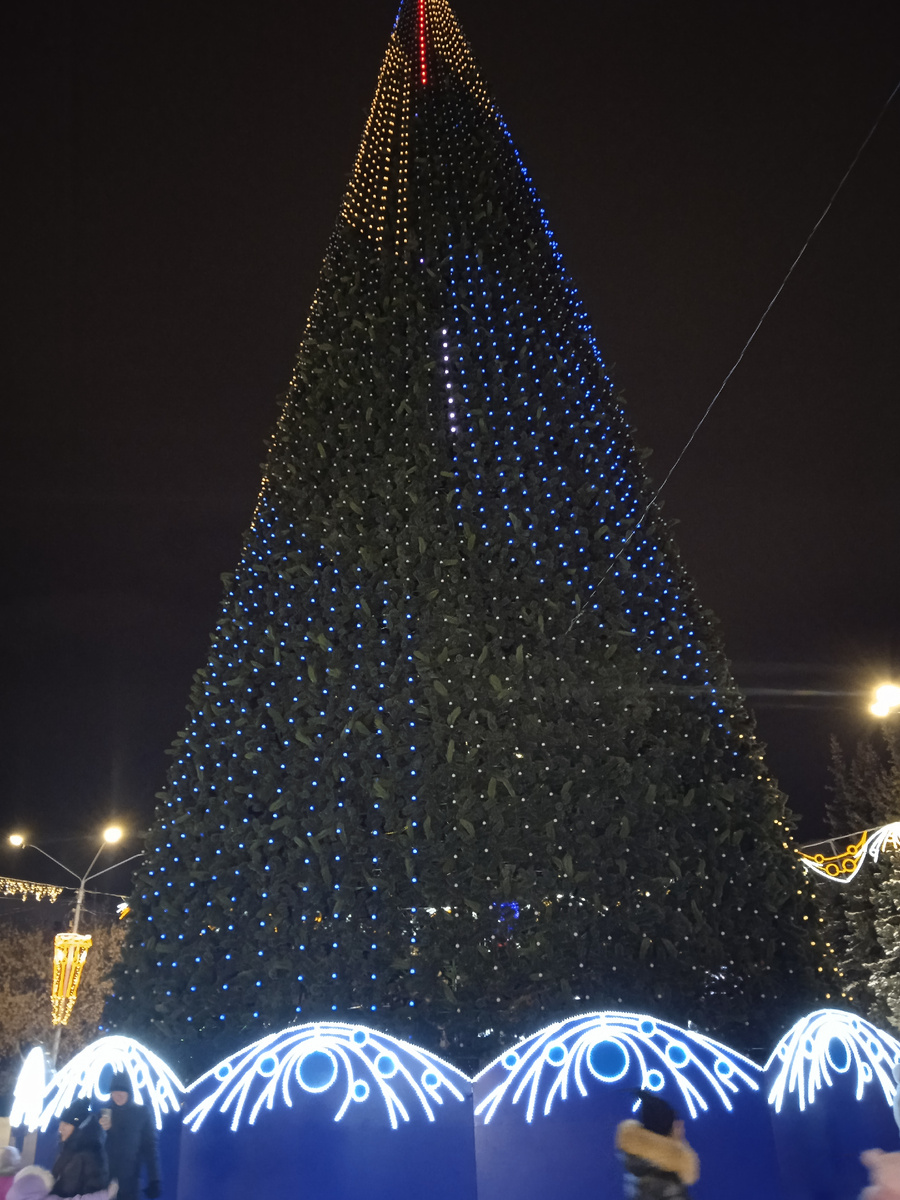 Главная новогодняя красавица Барнаула 2025