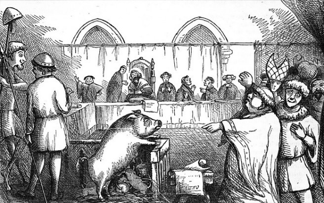 Карикатура похожая на суд над свиньей. Фото с сайта: LEGION-MEDIA, DIOMEDIA, ALAMY