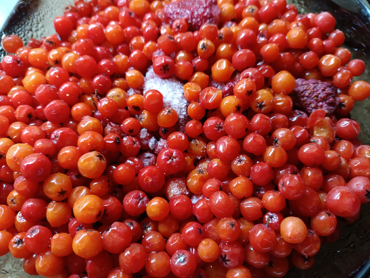 В рябину добавила клубнику