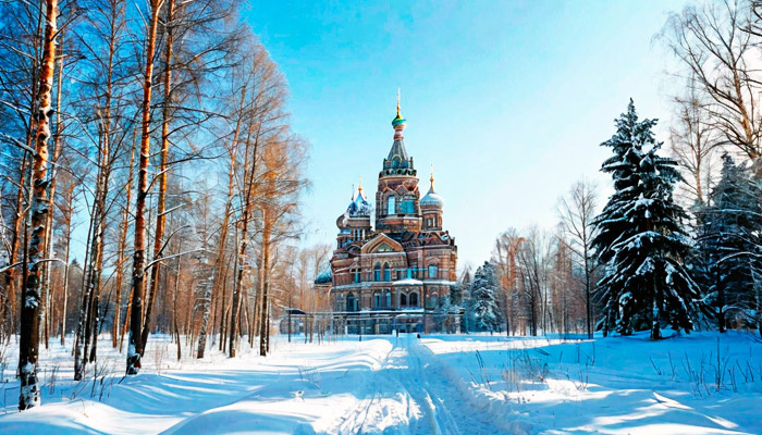 6 января ясная погода — к урожайному году. Фото: shedevrum.ai